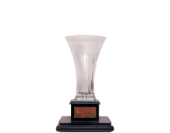 Pollution Control Award 2008​